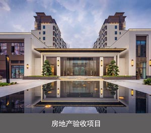 四柱簡易升降類機械立體停車設(shè)備房地產(chǎn)驗收項目